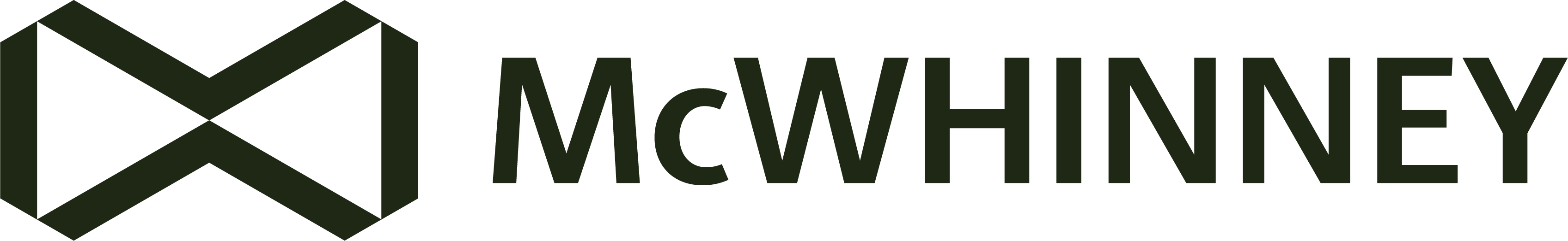 McWhinney logo
